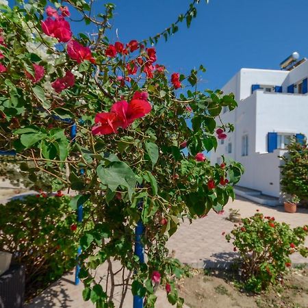Sophi'S L Studios & Apartments Agia Anna  Exterior foto