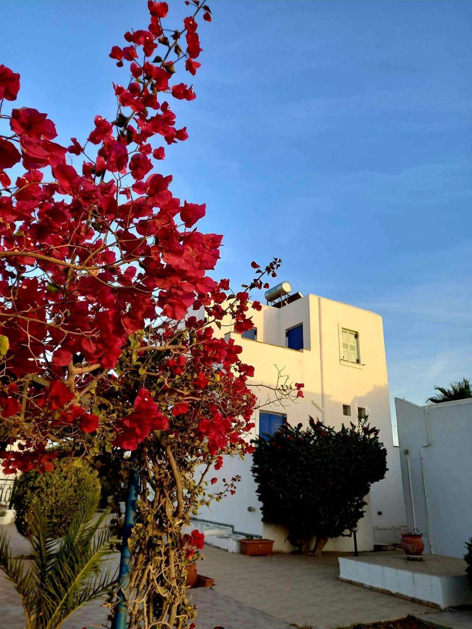 Sophi'S L Studios & Apartments Agia Anna  Exterior foto