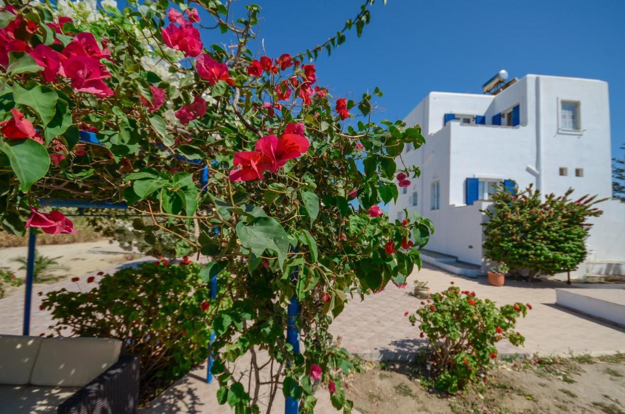Sophi'S L Studios & Apartments Agia Anna  Exterior foto